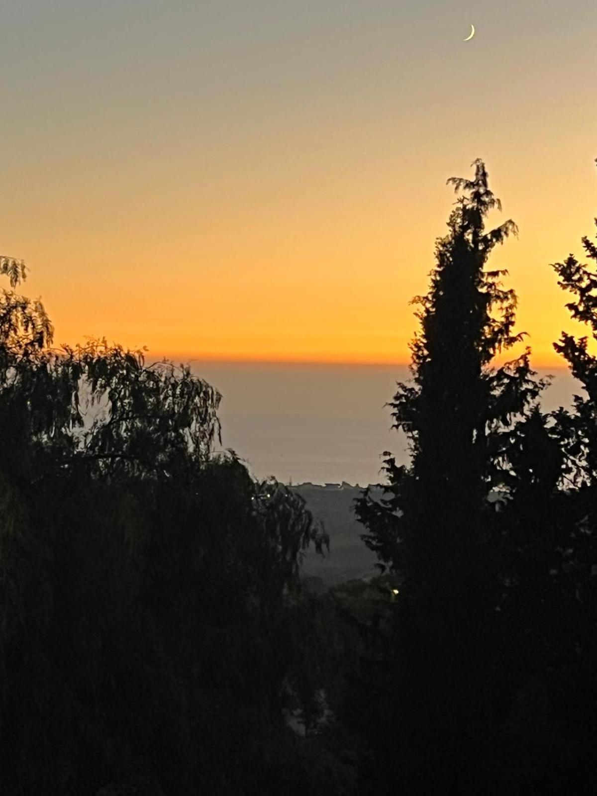 Falaride Suite Agrigento Discesa Sulla Valle Di Oro Esterno foto